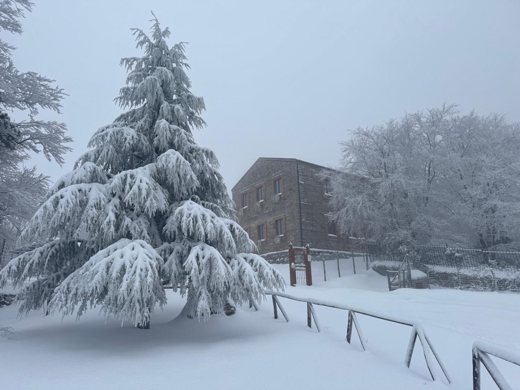 Hotel Nebris - Rifugio Del Parco